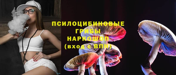 ешки Алзамай