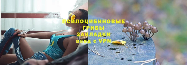 Альфа ПВП Алексин