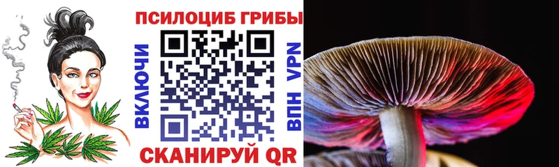 Галлюциногенные грибы Psilocybine cubensis Ярцево